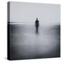 Statue Alone on Beach-Craig Roberts-Stretched Canvas