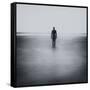 Statue Alone on Beach-Craig Roberts-Framed Stretched Canvas