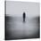 Statue Alone on Beach-Craig Roberts-Stretched Canvas