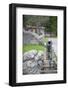 Statue and Cannon in Forbidden Purple City in Citadel, Hue, Thua Thien-Hue, Vietnam, Indochina-Ian Trower-Framed Photographic Print