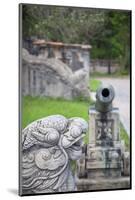 Statue and Cannon in Forbidden Purple City in Citadel, Hue, Thua Thien-Hue, Vietnam, Indochina-Ian Trower-Mounted Photographic Print