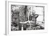 Statue and Fountain, Crans-Montana, Switzerland, 2009-Vincent Alexander Booth-Framed Giclee Print