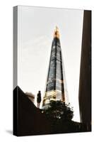 Statue and Shard-Ant Smith-Stretched Canvas