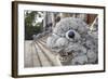 Statue at Tomb of Khai Dinh, Hue, Thua Thien-Hue, Vietnam, Indochina, Southeast Asia, Asia-Ian Trower-Framed Photographic Print