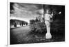 Statue at Versailles, France-Simon Marsden-Framed Giclee Print