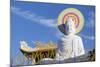 Statue at Vien Minh Pagoda, Ben Tre, Mekong Delta, Vietnam, Indochina, Southeast Asia, Asia-Ian Trower-Mounted Photographic Print