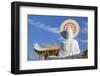 Statue at Vien Minh Pagoda, Ben Tre, Mekong Delta, Vietnam, Indochina, Southeast Asia, Asia-Ian Trower-Framed Photographic Print