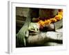 Statue, Bali, Indonesia-Angelo Cavalli-Framed Photographic Print