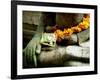 Statue, Bali, Indonesia-Angelo Cavalli-Framed Photographic Print