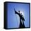 Statue, Brasilia, Brazil, South America-Geoff Renner-Framed Stretched Canvas