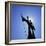 Statue, Brasilia, Brazil, South America-Geoff Renner-Framed Photographic Print