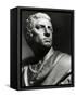 Statue Bust of Marcus Junius Brutus-null-Framed Stretched Canvas