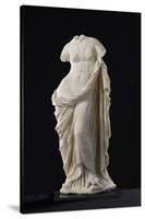 Statue d'Aphrodite à la tortue-null-Stretched Canvas