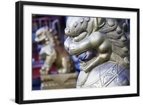 Statue Detail Summer Palace-Terry Eggers-Framed Photographic Print