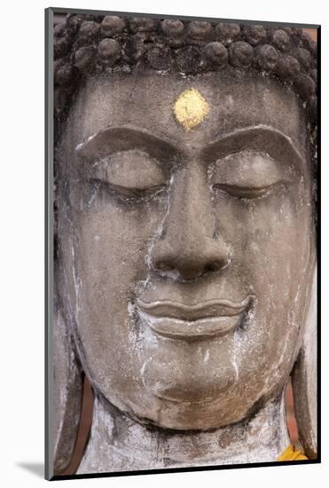 Statue face at the Ayutthaya Historical Park, Thailand-Art Wolfe-Mounted Photographic Print