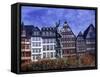 Statue, Garden and Building Facade, Frankfurt, Germany-Peter Adams-Framed Stretched Canvas