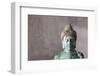 Statue, Head, Bust-Nikky Maier-Framed Photographic Print