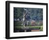 Statue in a Garden, the Waving Girl, Savannah, Georgia, USA-null-Framed Photographic Print