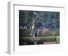 Statue in a Garden, the Waving Girl, Savannah, Georgia, USA-null-Framed Photographic Print