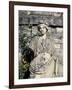 Statue in Gardens of Peles Castle-null-Framed Giclee Print