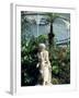 Statue in Glasshouse at the Botanic Gardens, Glasgow, Scotland, United Kingdom-Adam Woolfitt-Framed Photographic Print