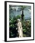 Statue in Glasshouse at the Botanic Gardens, Glasgow, Scotland, United Kingdom-Adam Woolfitt-Framed Photographic Print