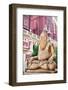 Statue in Laxmi Narayan Temple-Marina Pissarova-Framed Photographic Print