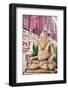 Statue in Laxmi Narayan Temple-Marina Pissarova-Framed Photographic Print