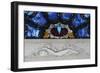 Statue in Marble and Stained Glass, Tettuccio Thermal Baths-null-Framed Giclee Print