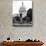 Statue in Memory of James A.Carfield before the Capitol Building, US Congress, Washington D.C-Philippe Hugonnard-Photographic Print displayed on a wall