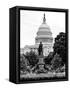 Statue in Memory of James A.Carfield before the Capitol Building, US Congress, Washington D.C-Philippe Hugonnard-Framed Stretched Canvas