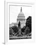 Statue in Memory of James A.Carfield before the Capitol Building, US Congress, Washington D.C-Philippe Hugonnard-Framed Photographic Print