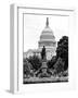 Statue in Memory of James A.Carfield before the Capitol Building, US Congress, Washington D.C-Philippe Hugonnard-Framed Photographic Print