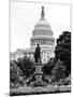 Statue in Memory of James A.Carfield before the Capitol Building, US Congress, Washington D.C-Philippe Hugonnard-Mounted Photographic Print
