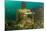 Statue in submerged Nymphaeum of Emperor Claudius, Italy-Franco Banfi-Mounted Photographic Print