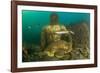 Statue in submerged Nymphaeum of Emperor Claudius, Italy-Franco Banfi-Framed Photographic Print