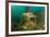 Statue in submerged Nymphaeum of Emperor Claudius, Italy-Franco Banfi-Framed Photographic Print