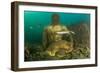 Statue in submerged Nymphaeum of Emperor Claudius, Italy-Franco Banfi-Framed Photographic Print