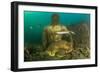 Statue in submerged Nymphaeum of Emperor Claudius, Italy-Franco Banfi-Framed Photographic Print
