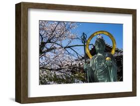 Statue in the Cherry Blossom in the Maruyama-Koen Park, Kyoto, Japan, Asia-Michael Runkel-Framed Photographic Print