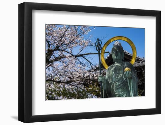 Statue in the Cherry Blossom in the Maruyama-Koen Park, Kyoto, Japan, Asia-Michael Runkel-Framed Photographic Print