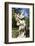 Statue in the Garden of the Four Seasons, Laguna Gloria, Austin, Texas-Randa Bishop-Framed Photographic Print