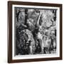 Statue in the Giardini Pubblici, Castello-Simon Marsden-Framed Giclee Print