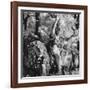 Statue in the Giardini Pubblici, Castello-Simon Marsden-Framed Giclee Print