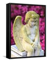 Statue of a Cherub in Bonaventure Cemetery, Savannah, Georgia, USA-Joanne Wells-Framed Stretched Canvas