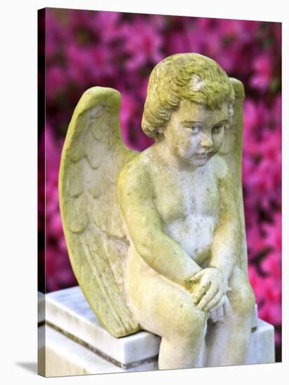 Statue of a Cherub in Bonaventure Cemetery, Savannah, Georgia, USA-Joanne Wells-Stretched Canvas