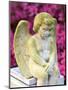 Statue of a Cherub in Bonaventure Cemetery, Savannah, Georgia, USA-Joanne Wells-Mounted Photographic Print