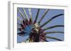 Statue of a Chichimeque Indian Dancer, near the Independence Square, Queretaro, Mexico. Detail of T-null-Framed Giclee Print