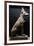 Statue of a Dog, Mesopotamia, circa 5000-1000 BC-null-Framed Giclee Print