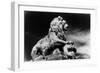 Statue of a Lion, City Gates, Arles, Provence, France-Simon Marsden-Framed Giclee Print